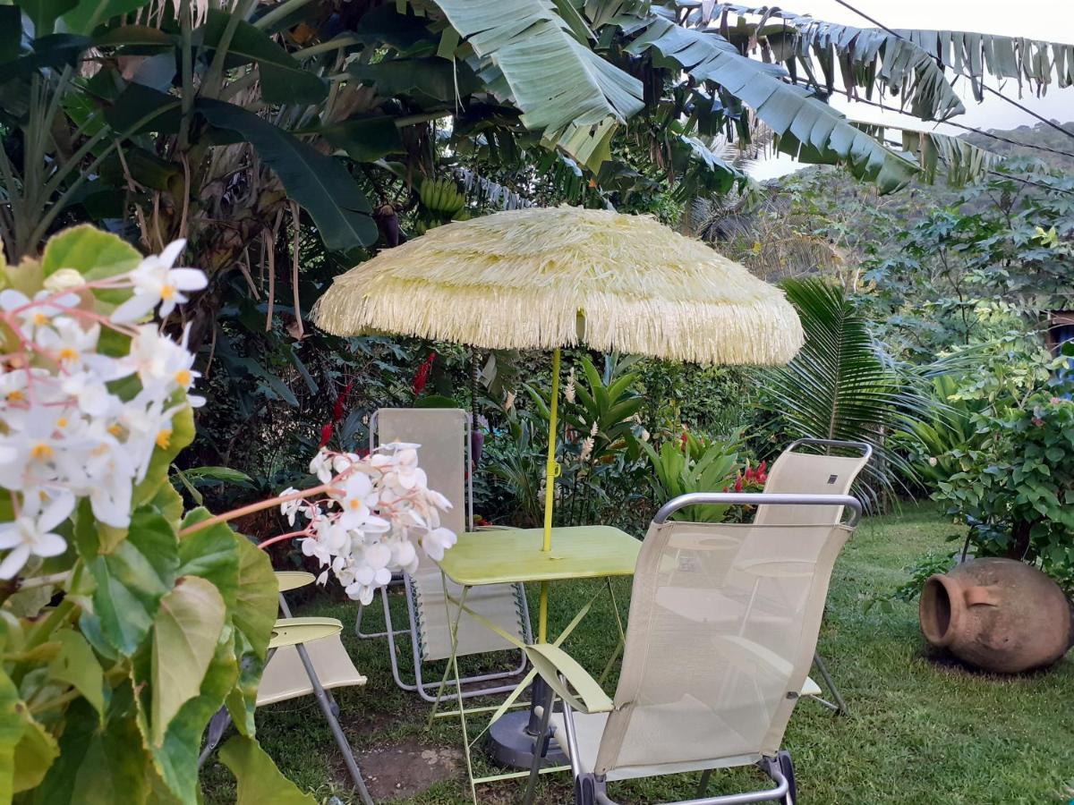 Bed and Breakfast Terrasse Du Piton Deshaies Exterior foto